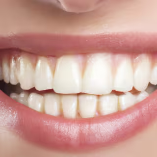 tooth